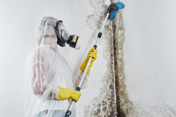 Water Damage Restoration in Cape Charles, VA