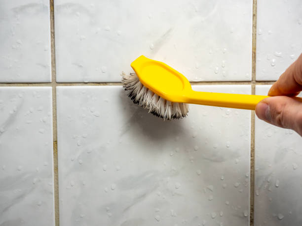 Best Mold Testing  in Cape Charles, VA