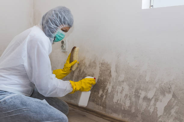 Best Water Damage Restoration  in Cape Charles, VA