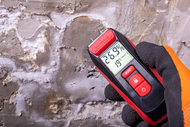 Best Fast Mold Removal  in Cape Charles, VA