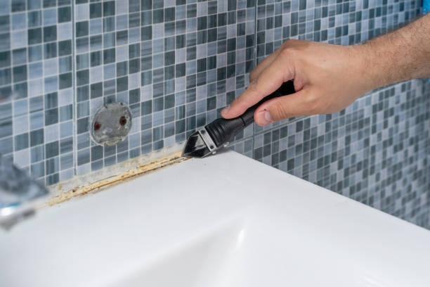 Best Certified Mold Removal  in Cape Charles, VA
